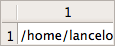 ../../../../_images/LocalFileDelegate_unselected_editable.png