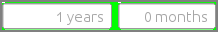 ../../../../_images/MonthsEditor_disabled_background_color.png